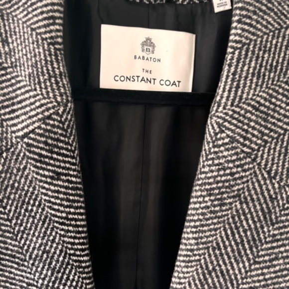 Aritzia Constant Coat - Picture 3 of 5